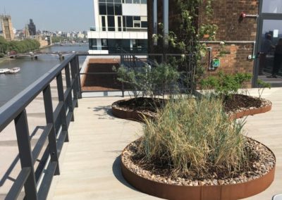 Roof Top planters central London